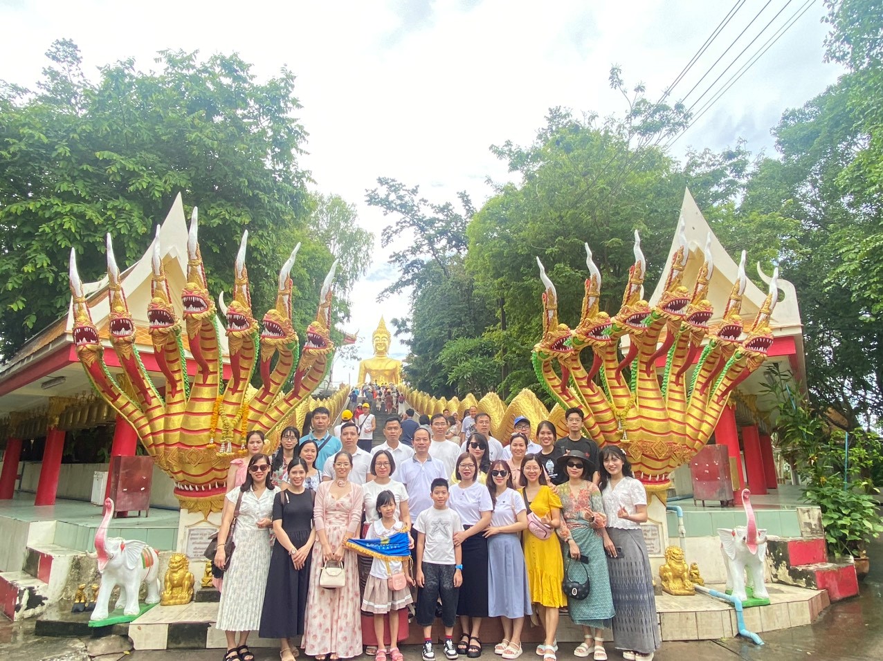 hinhanh