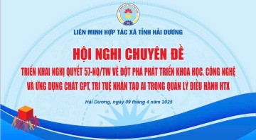 hinhanh